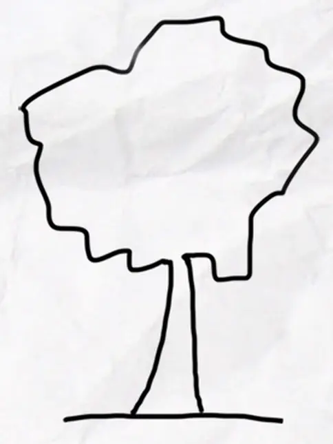 Tenký kmen a neuspořádaná koruna stromu. Tenký kmen a neuspořádaná koruna stromu.