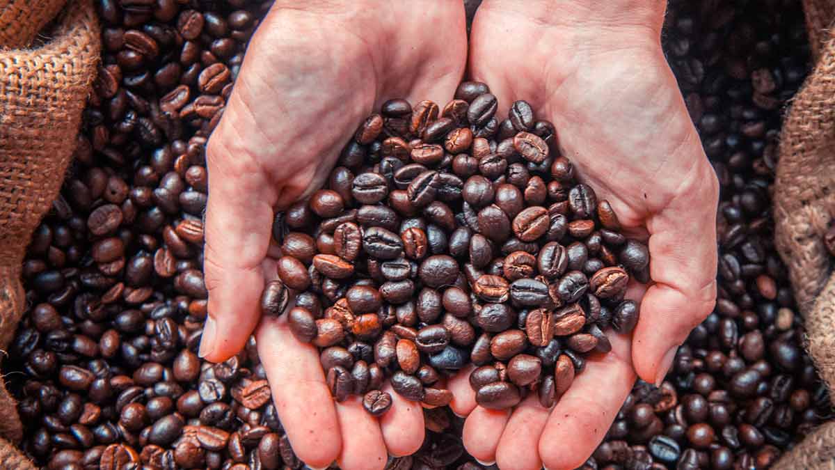 Stiftung Warentest Kaffeebohnen